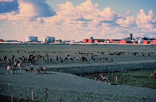 Prudhoe Bay, Alaska
